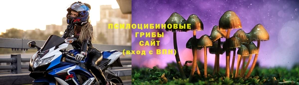 индика Армянск