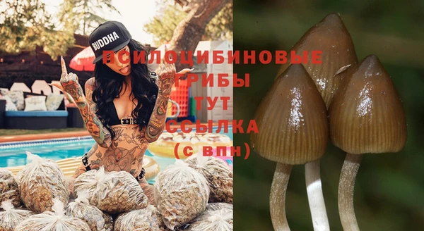 скорость Арсеньев
