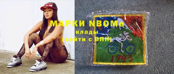 индика Армянск