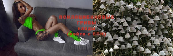 гидра Аркадак