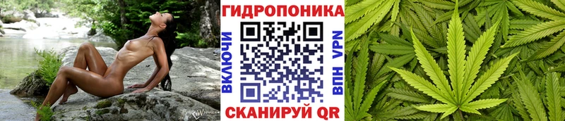Марихуана планчик Среднеуральск